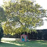 La Casina Di Campagna Tra E Bibbona 別荘