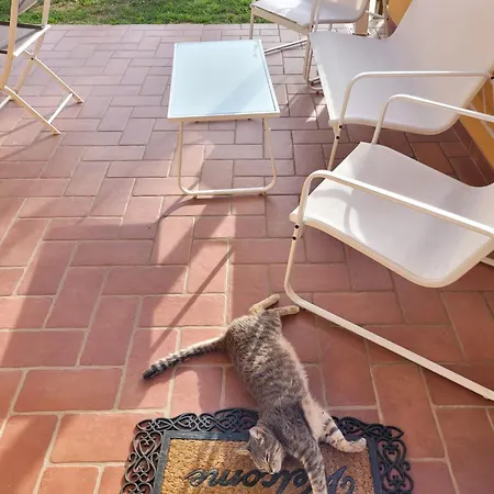 La Casina Di Campagna Tra Cecina E Bibbona
